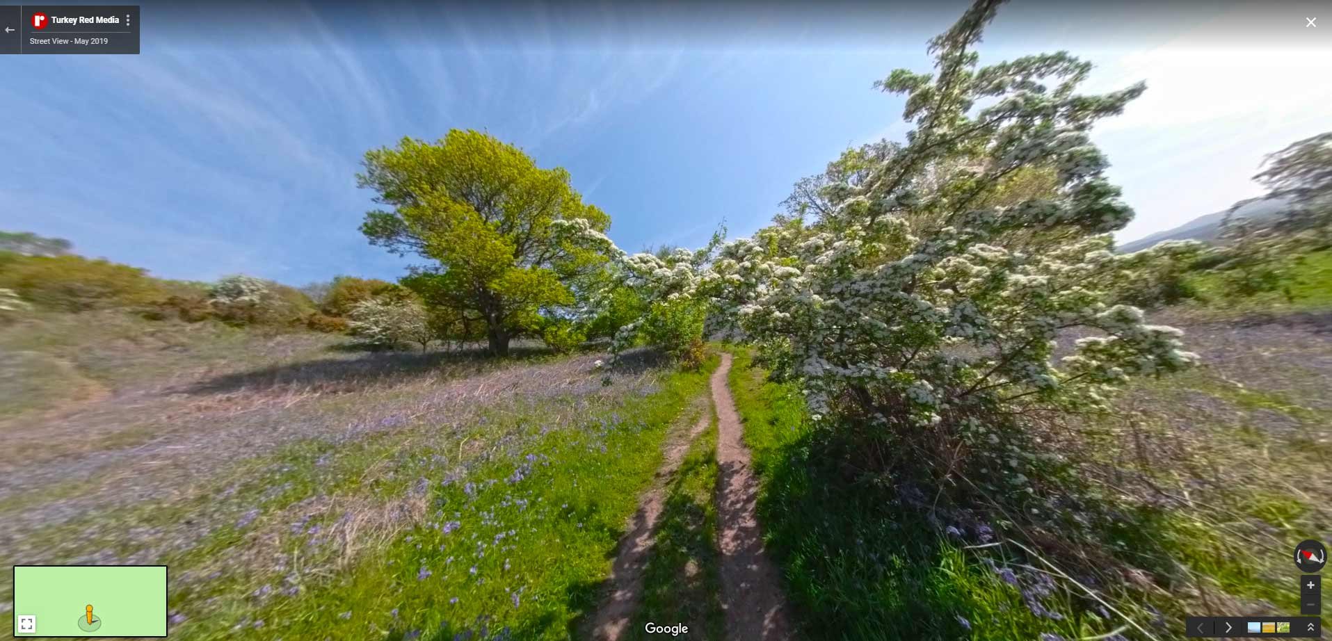 Stop-to-smell-the-roses
